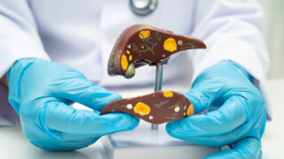 doctor holding human anatomy model for study diagnosis and treatment in hospital.