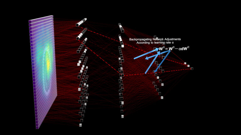 Illustration of a machine learning network used in neuroimaging.