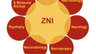 Diagram of ZNI competencies