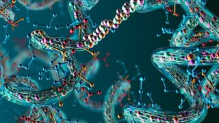 Chain of amino acids